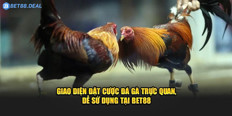 giao-dien-dat-cuoc-da-ga-truc-quan-de-su-dung-tai-bet88.jpg