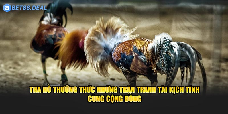 tha-ho-thuong-thuc-nhung-tran-tranh-tai-kich-tinh-cung-cong-dong.jpg